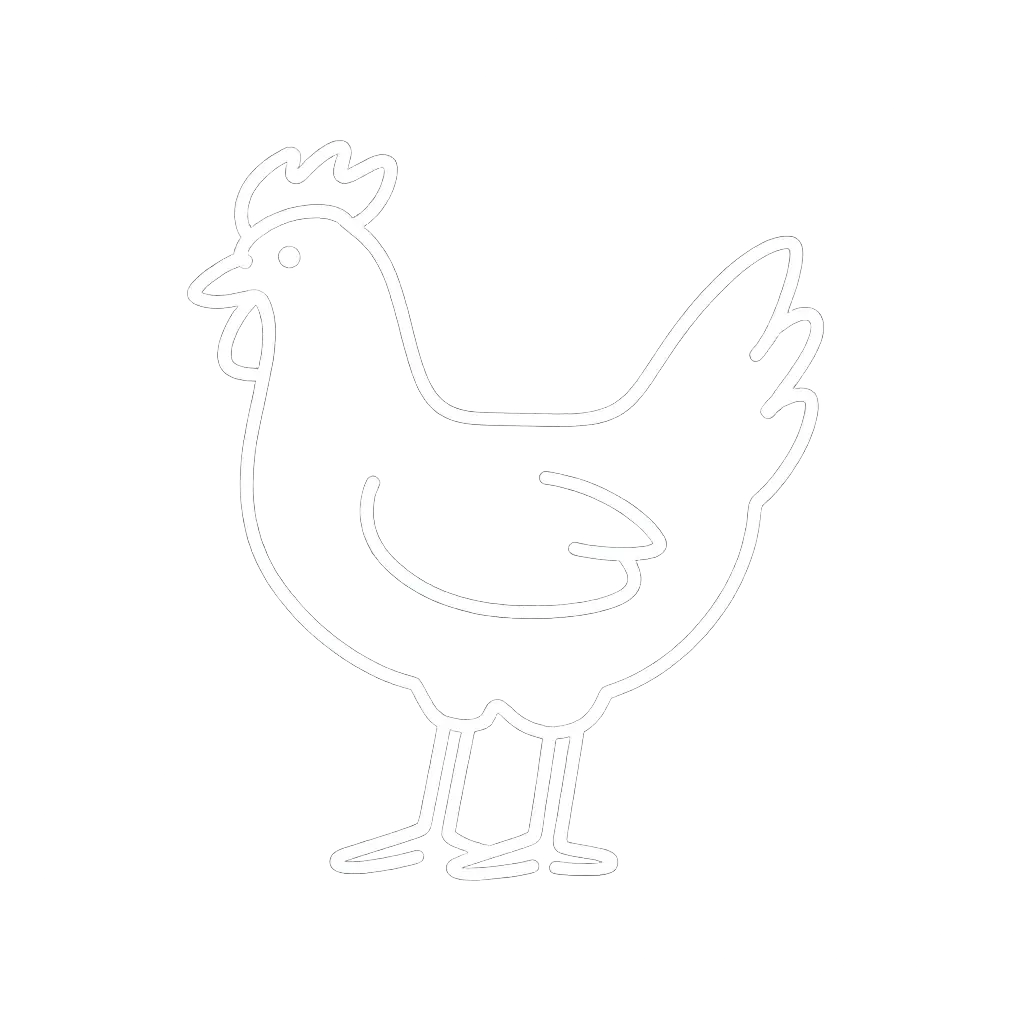 Manok